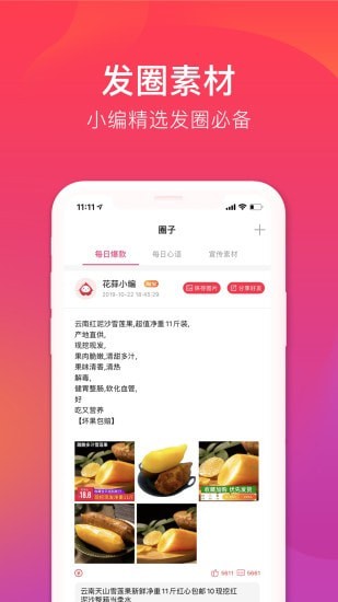 花小蒜正版图3