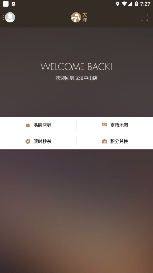 大洋百货安卓直装版图1