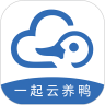 一起云养鸭安卓直装版
