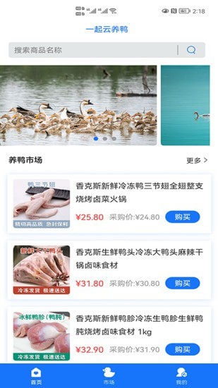 一起云养鸭安卓直装版