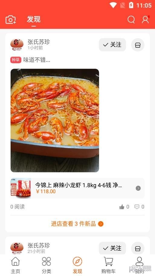 张氏苏珍正版图4