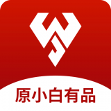 闪小白免费版