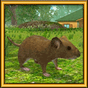 疯狂地鼠城V4.2
