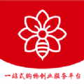 淘东来正版