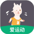开薪运动直装版