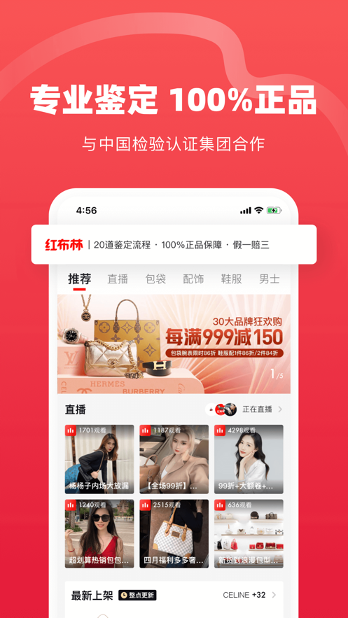红布林安卓版图3