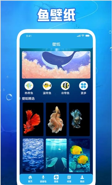 养鱼小高手无广告版图3