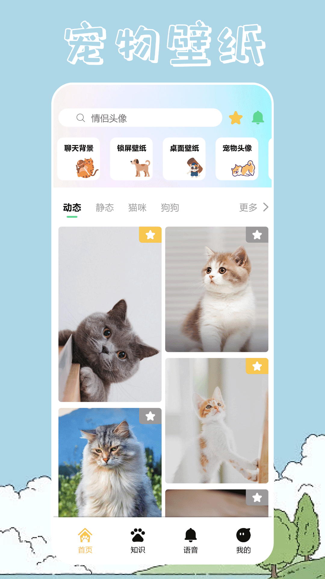 桌面宠物壁纸安卓官方版图3