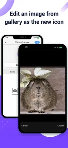 xiconchanger汉化版图2