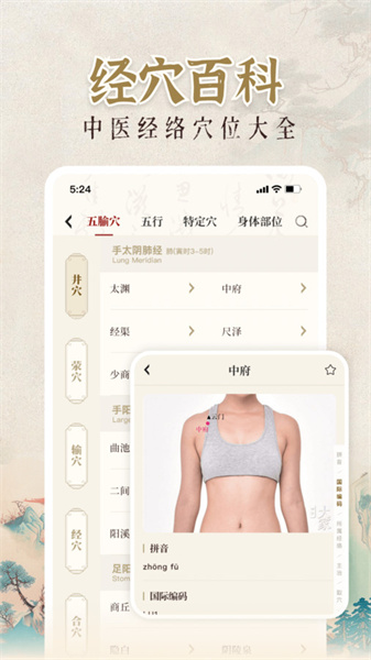 中医大全汇编安卓免费版图5