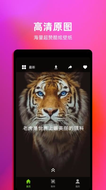 Live动态壁纸手机版图2