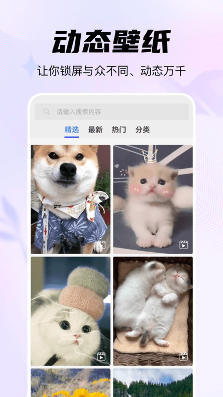 随心壁纸官方版图2