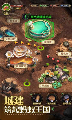 小小蚁国蚁族时代游戏完整版图2