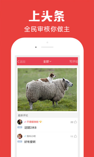 百思不得姐手机正版图5