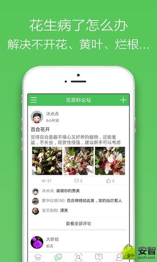 花百科通用版图2