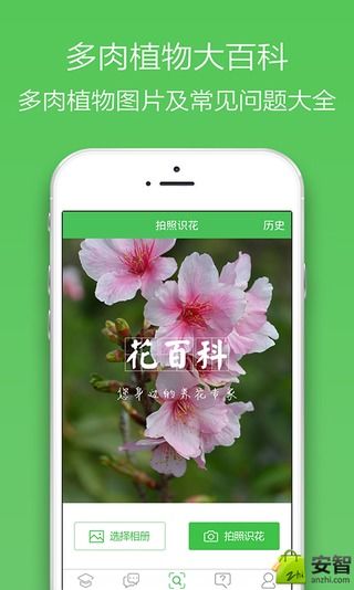 花百科通用版图4