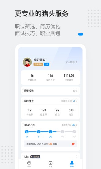 灵鸽正版图4
