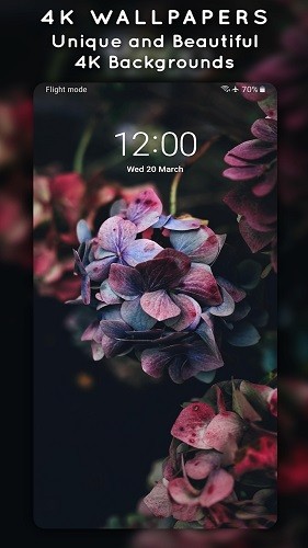 4KWallpapers动态壁纸安卓免费版图2