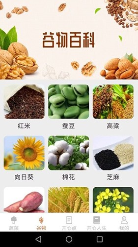 绿色菜园子无广告版图1