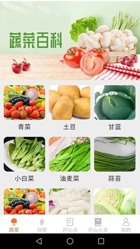 绿色菜园子无广告版图3