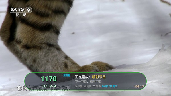 秋分TV原版图2