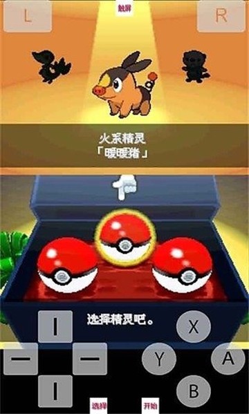 口袋妖怪白2汉化版