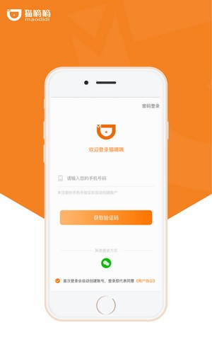 猫嘀嘀直装版图1