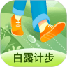 白露计步官方版