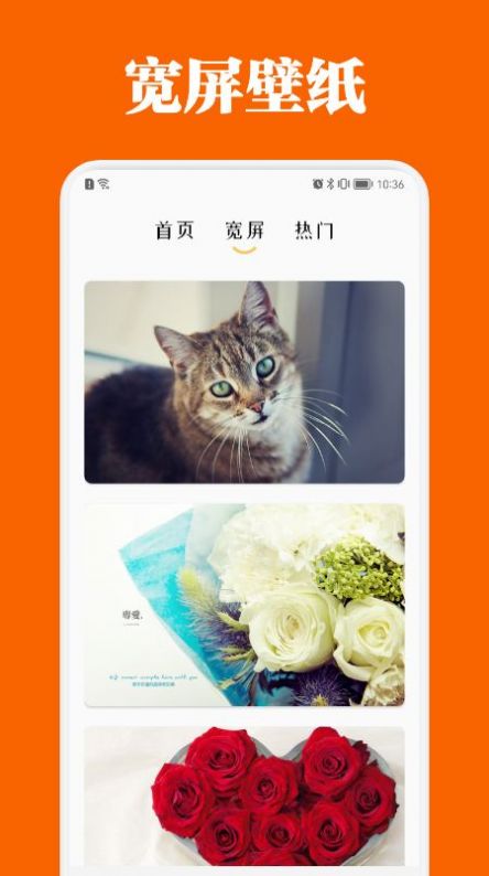 百变主题商店安卓直装版图2