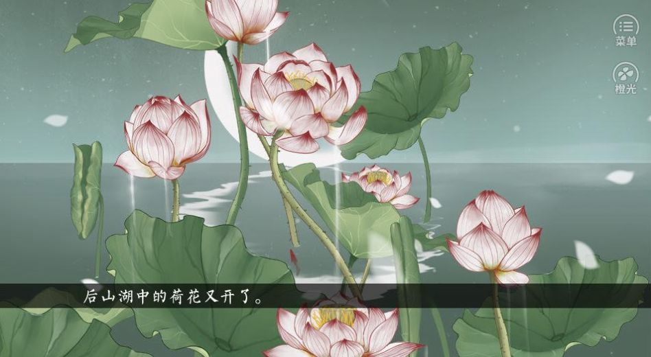 我真的没有在划水手机最新版