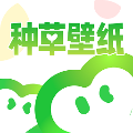 种草壁纸软件官方版