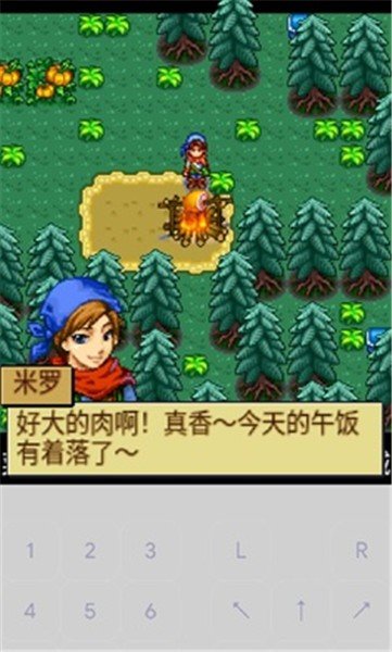 宠物王国4白金安卓官方版