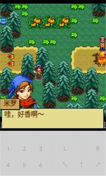 宠物王国4白金安卓官方版