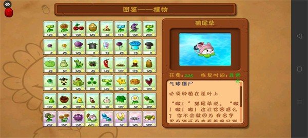 植物大战僵尸B版
