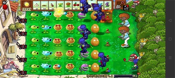 植物大战僵尸B版