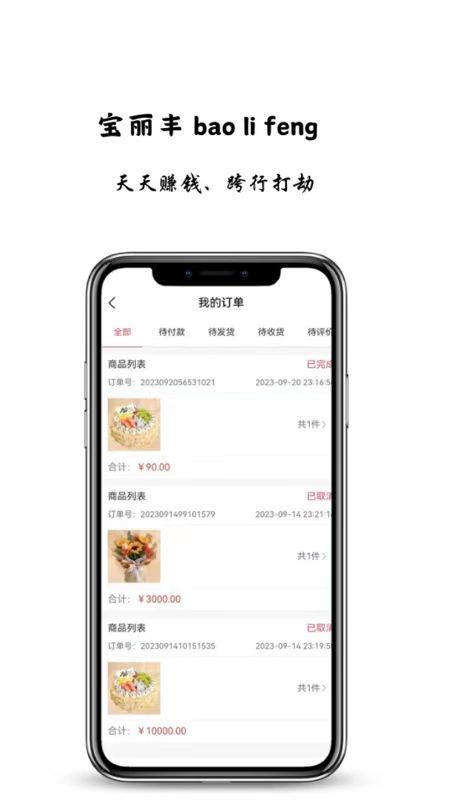 宝丽丰无广告版图3