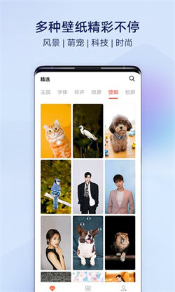 vivo主题壁纸安卓免费版图4