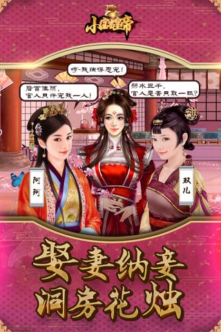 小宝当皇帝游戏无广告版