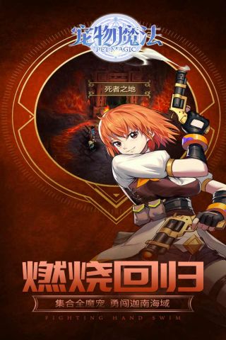 宠物魔法游戏完整版