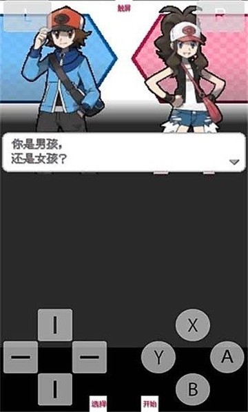 口袋妖怪白2汉化版