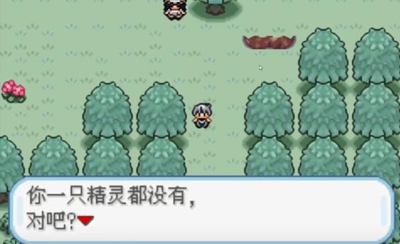 口袋妖怪火箭队游戏官方版图4