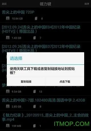 P搜手机正版图1