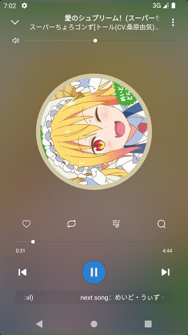rPlayer本安卓官方版图1