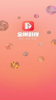 金刚影视手机版图2