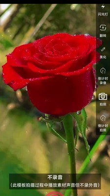 左拍通用版图1