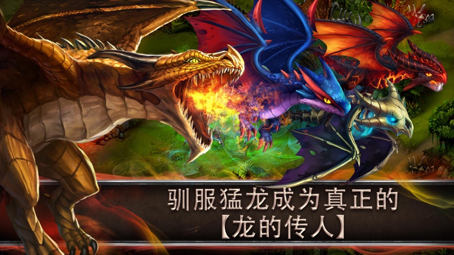 驯龙传说官方正版