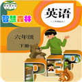PEP小学英语六年级下免费原版