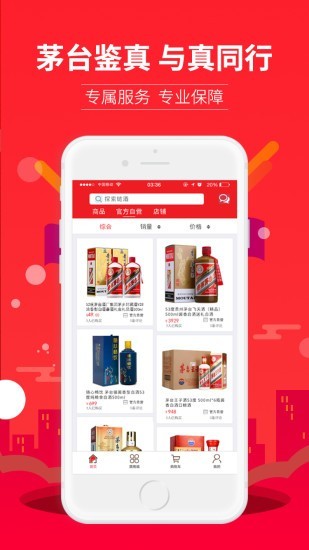 链氿直装版图3