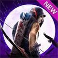 忍者的信条 v1.0.5