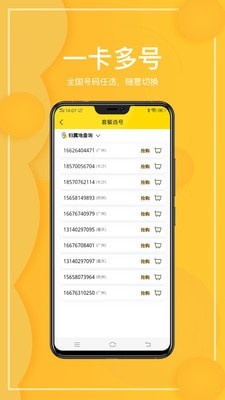 西瓜虚拟网络电话手机正版图2